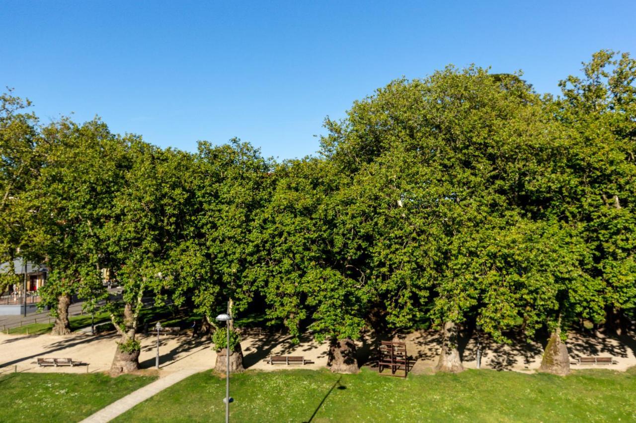 Tripas-Coracao, Cordoaria River View, Garden View Or Loft Porto Exterior photo